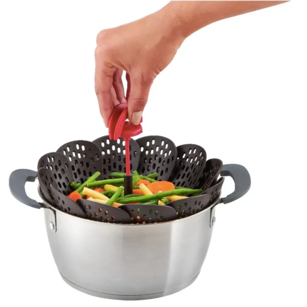 VAPORERA ING T-FAL